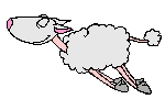 Flying Sheep picture