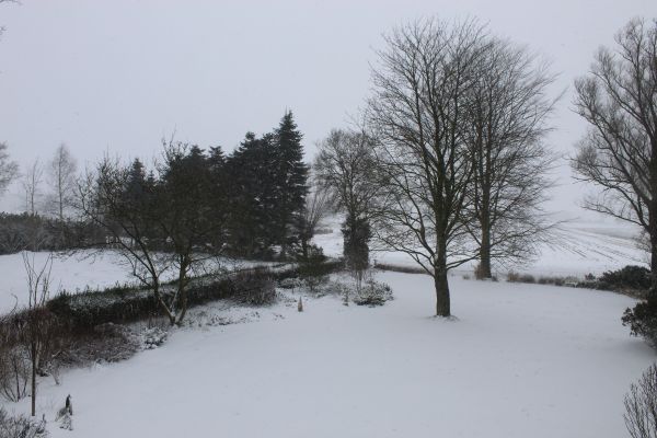 De voortuin (gezien vanaf boven) na de sneeuwjacht van februari 2021